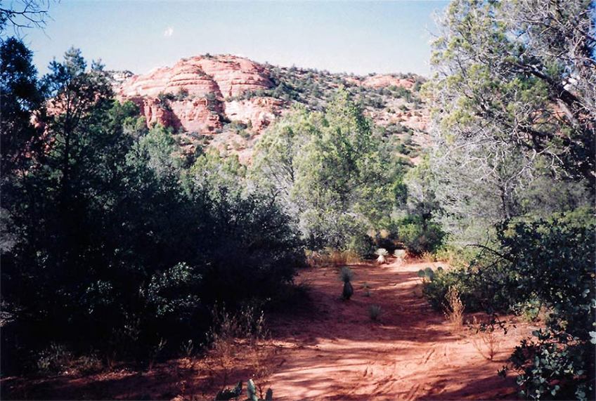 A photo I took in Arizona